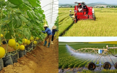 Thực hiện đa dạng hóa sinh kế, phát triển mô hình giảm nghèo, giáo dục nghề nghiệp