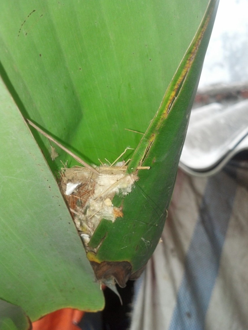 Tuổi tác, thời gian và giá trị ngưng đọng