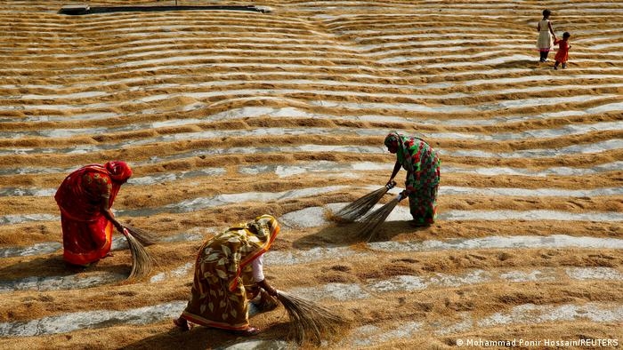 Học các quốc gia thông minh cách duy trì hệ thống lương thực bền vững