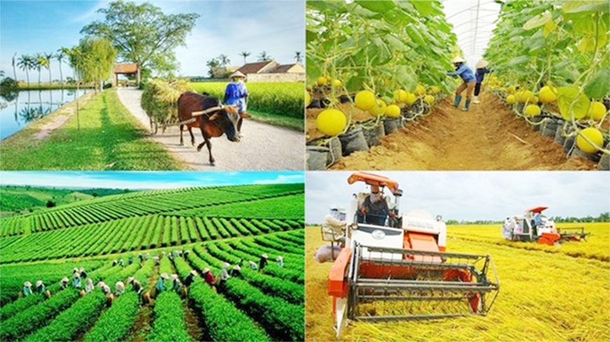 Đẩy mạnh phân cấp quản lý, tổ chức thực hiện các Chương trình mục tiêu quốc gia