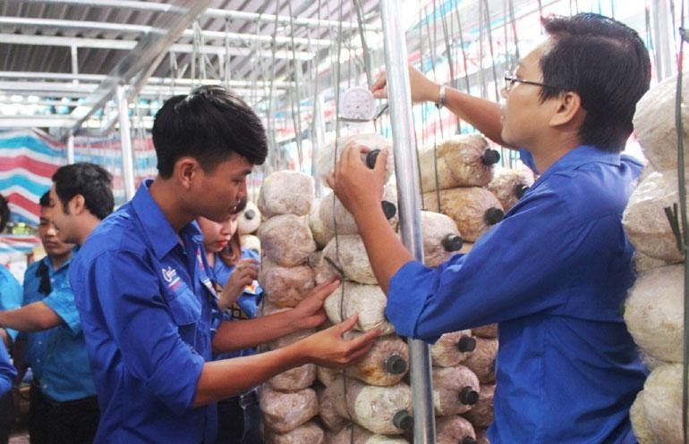 Phê duyệt Chương trình “Hỗ trợ thanh niên Ok365.com Tải xuống phiên bản mới nhất”