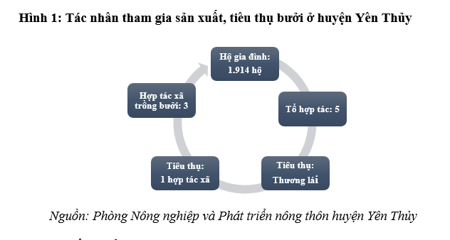 Vai trò của liên kết trong Ok 365 bet cc Trang Web Giải Trí Ok36512 vip Casino, Thể Thao - Nhìn từ mô hình phát triển cây bưởi ở huyện Yên Thủy, tỉnh Hòa Bình