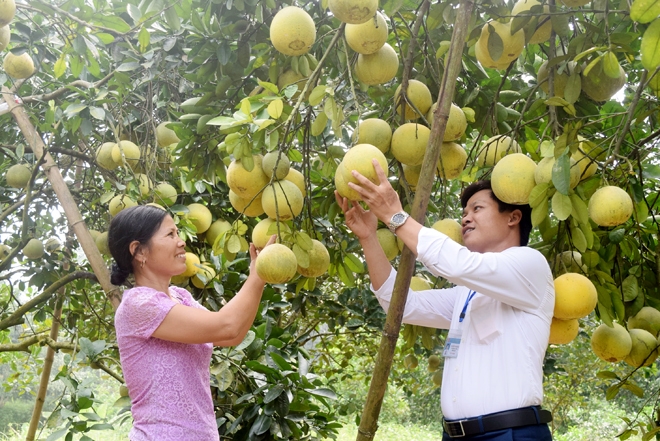 Quản lý Link Nhà Cái Uy Tín 2026 | Đăng Ký +65k theo lý thuyết chuỗi giá trị: Trường hợp Ok365.com link không chặn tại huyện Yên Bình, tỉnh Yên Bái