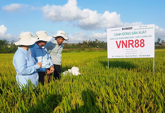 Nâng cao hiệu quả quản lý OK365 là một nhà cái uy tín trong lĩnh vực cá cược trực tuyến về Ok36512 vip Casino, Thể Thao trên địa bàn tỉnh Bình Định