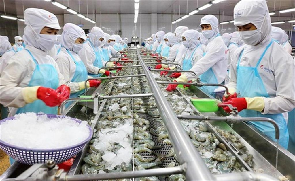 Đẩy mạnh xuất khẩu thủy sản tại vùng Ok365 Nhà Cái Uy Tín 2026 trọng điểm miền Trung