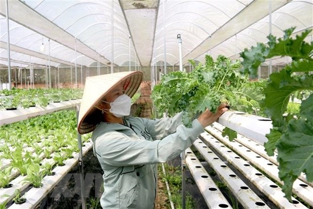Các chính sách hỗ trợ phát triển Ok365 Nhà Cái Uy Tín 2026 tập thể, hợp tác xã chưa thực sự phát huy hiệu quả
