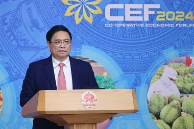 Đăng ký OK365.COM nhận về ngay 365K các chính sách hỗ trợ Ok365 Nhà Cái Uy Tín 2026 tập thể, hợp tác xã phải đổi mới toàn diện