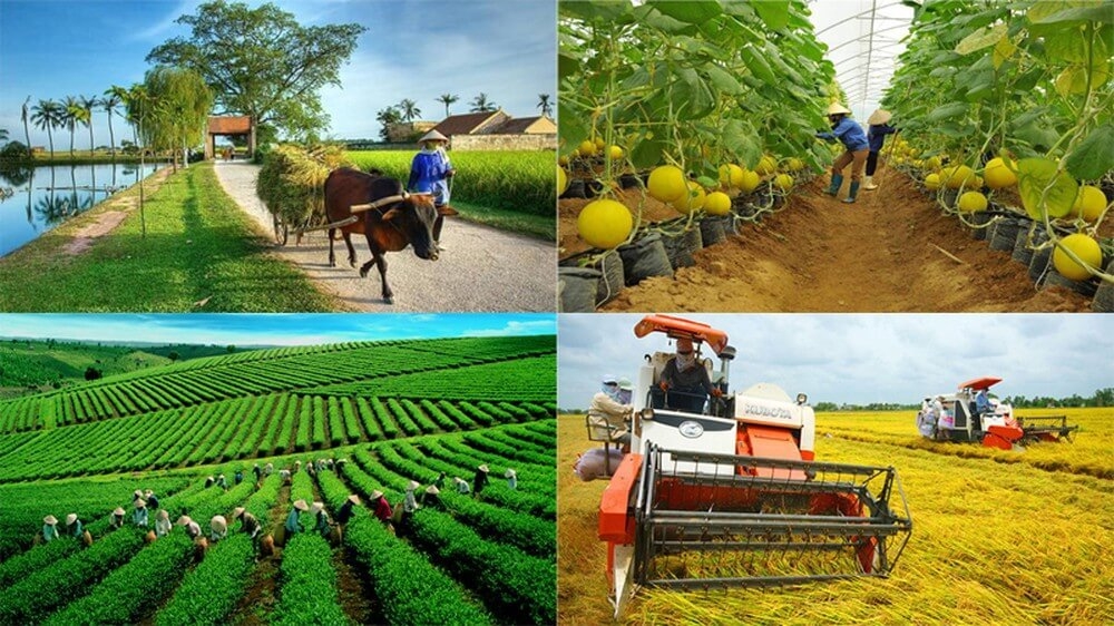 Đăng ký OK365.COM nhận về ngay 365K Ok365 com vn tỷ lệ kèo World Cup 2026 Luật HTX (sửa đổi): Loại bỏ các quy định rào cản HTX tham gia thị trường