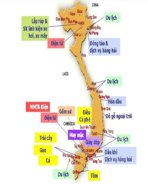 Việt Nam chưa có các cụm liên kết ngành theo đúng nghĩa