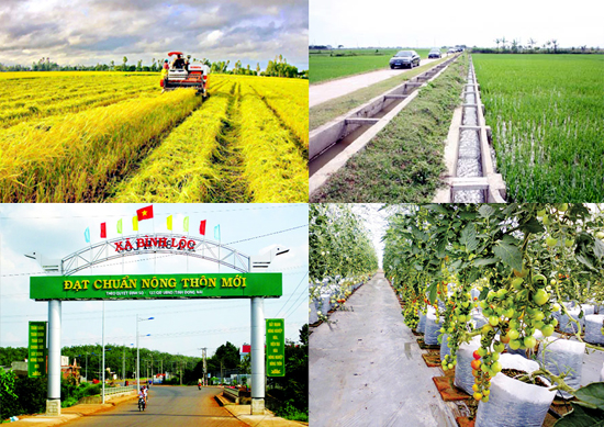 Dự kiến bổ sung và sửa đổi nhiều tiêu chí trong Bộ tiêu chí nông thôn mới