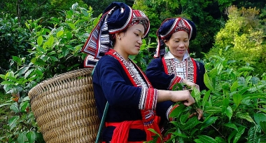 Hỗ trợ, tăng quyền làm chủ Ok365 Nhà Cái Uy Tín 2026 cho phụ nữ dân tộc thiểu số