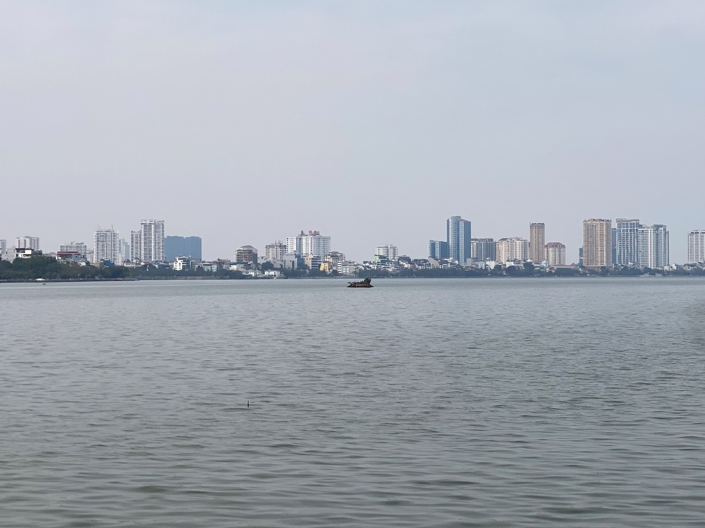Ngày đầu năm mới