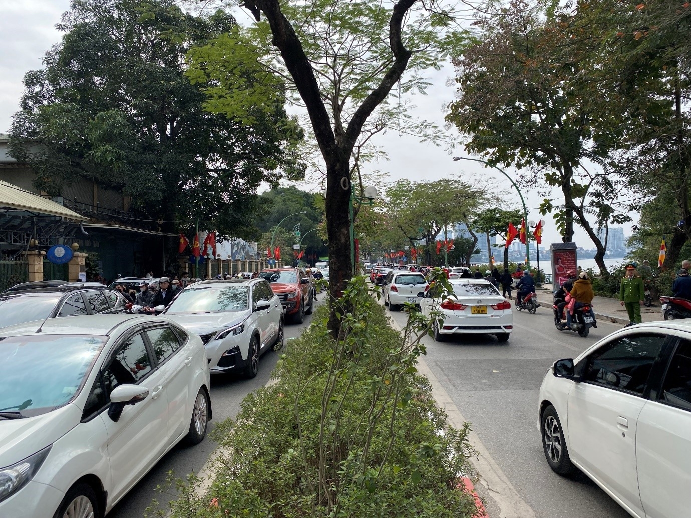 Ngày đầu năm mới