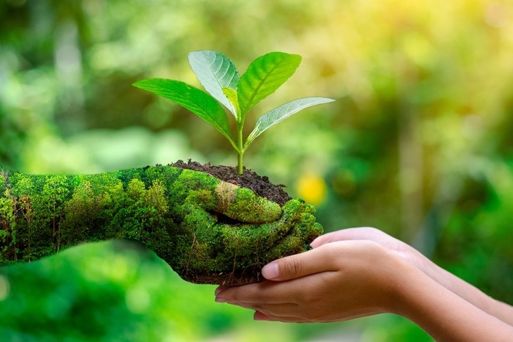 Tăng cường trách nhiệm báo cáo môi trường tại các nền Ok365 Nhà Cái Uy Tín 2026 đang phát triển