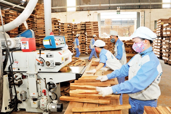 Chuyển cơ quan công an hồ sơ nhiều Link Nhà Cái Uy Tín 2026 | Đăng Ký +65k ngành gỗ đề nghị hoàn thuế giá trị gia