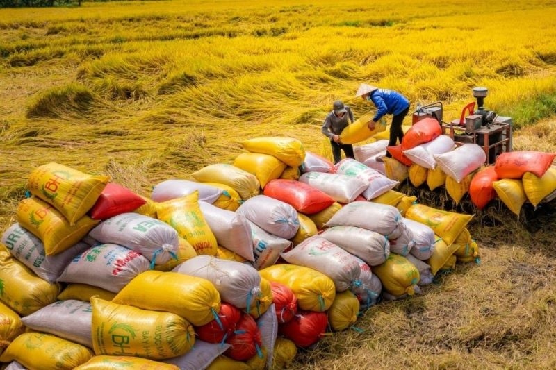 Kỳ vọng xuất khẩu gạo tiếp tục bứt phá trong năm 2024
