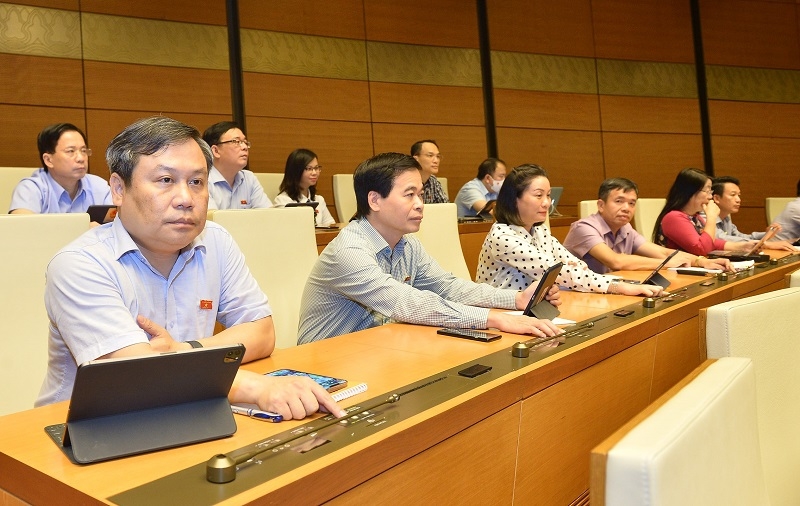 Quốc hội giám sát việc sử dụng nguồn lực cho phòng, chống Covid-19