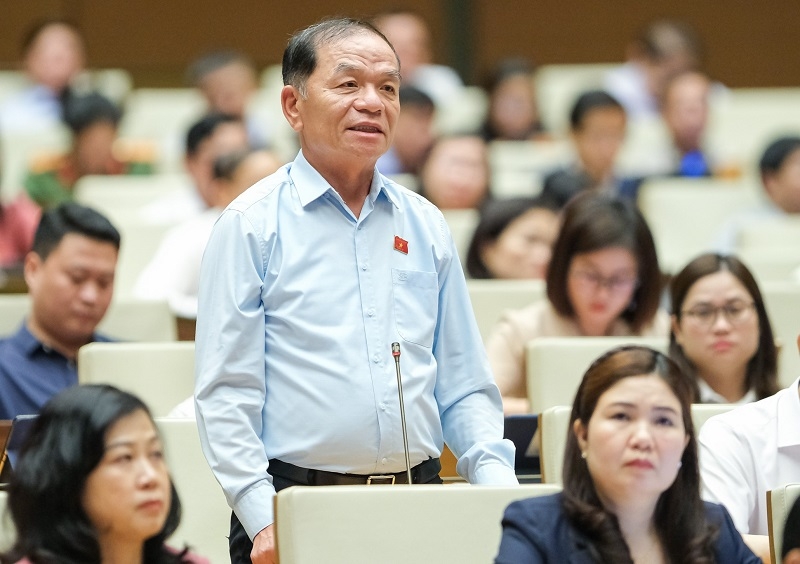 Xử lý nghiêm hành vi thông tin không chính xác, gây nhiễu loạn thị trường bất động sản