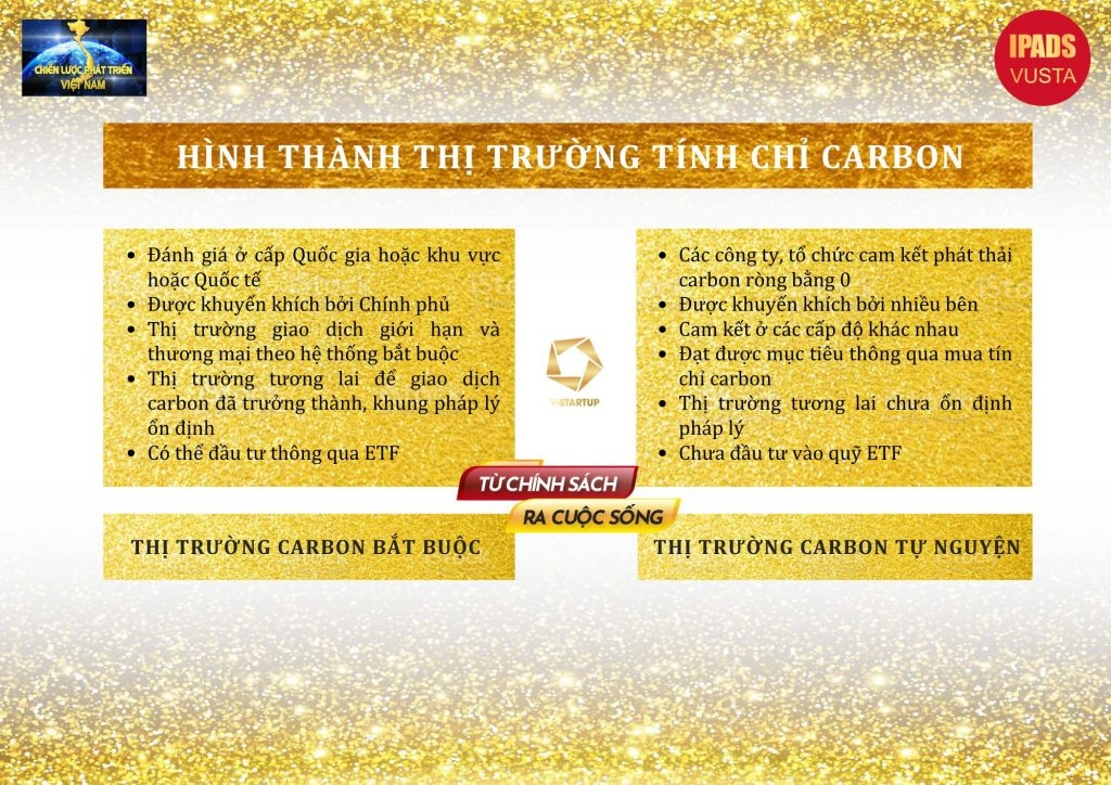 V-startup Group tham gia thị trường tín chỉ carbon