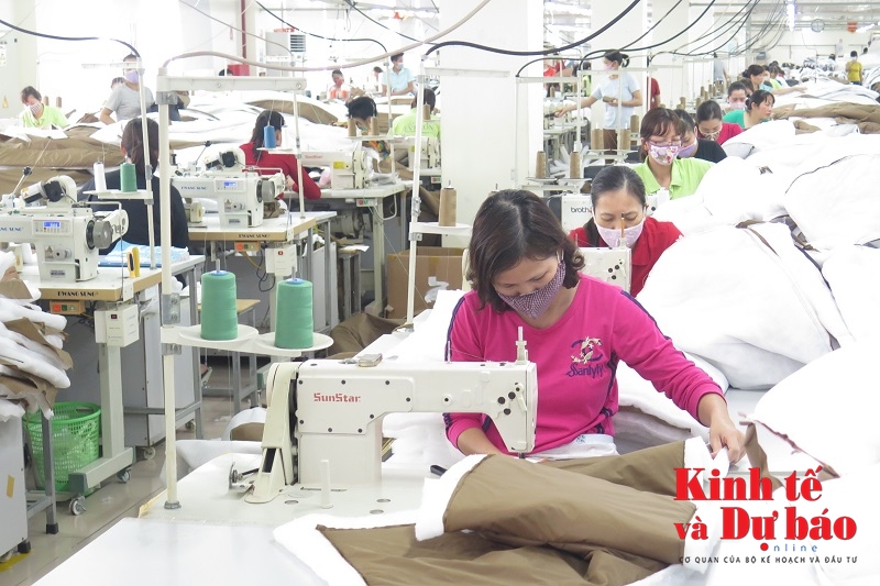 Đừng khó cho Link Nhà Cái Uy Tín 2026 | Đăng Ký +65k, dễ cho hải quan