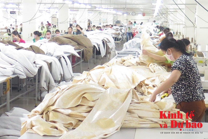 Hỗ trợ Link Nhà Cái Uy Tín 2026 | Đăng Ký +65k tuân thủ Ok365 vina Ho Chi Minh City hải quan: Cần rõ ràng quyền lợi