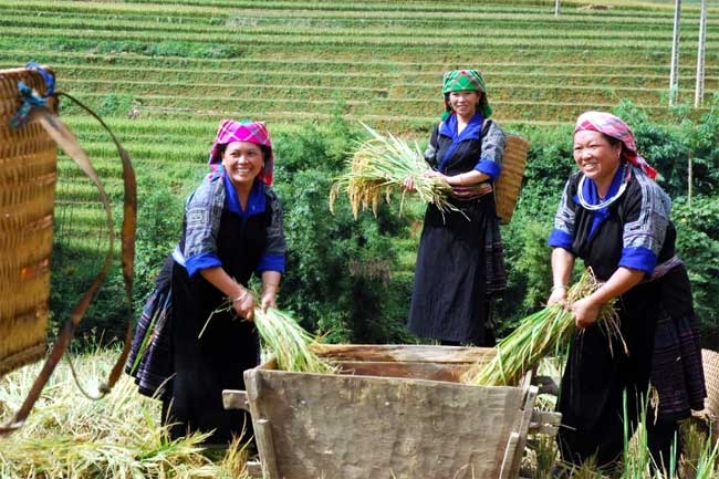 Kết quả giảm nghèo chưa bền vững