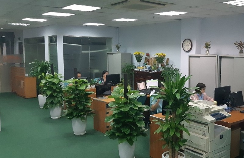 Quý III/2021, Chứng khoán APG ghi nhận lãi tăng đột biến