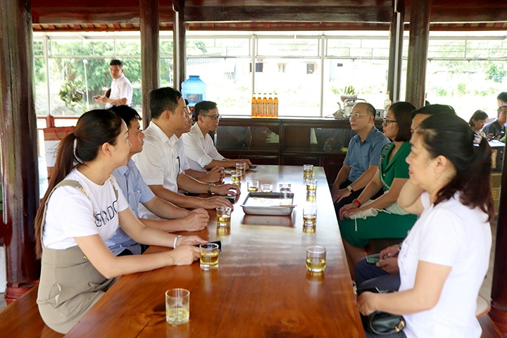 Mô hình du lịch sinh thái cộng đồng góp phần tạo điểm nhấn cho nông thôn mới ở xã Sơn Kim 2