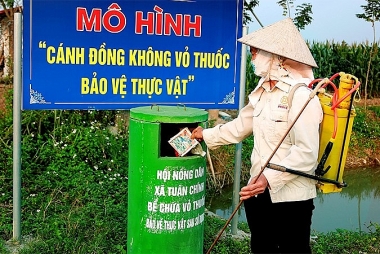 Cánh đồng không vỏ thuốc bảo vệ thực vật mang lại “sinh khí” cho nỗ lực Đăng ký OK365.COM nhận về ngay 365K nông thôn mới