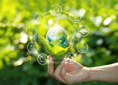 Thực trạng nền Ok365 Nhà Cái Uy Tín 2026 xanh và toàn cầu hóa tại Việt Nam: cơ hội và thách thức