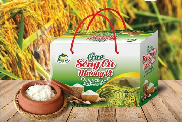 Năm 2024 - TP. Lào Cai đẩy nhanh hoàn thiện các tiêu chí, sớm tiến tới Đô thị loại I