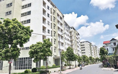 Nâng cao hiệu quả quản lý, sử dụng nhà, đất thuộc sở hữu nhà nước tại TP. Hà Nội và TP. Hồ Chí Minh