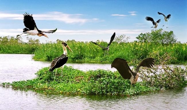 Xác định nhóm nhân tố có ảnh hưởng đến phát triển du lịch sinh thái bền vững: Trường hợp Ok365.com link không chặn tại tỉnh Cà Mau