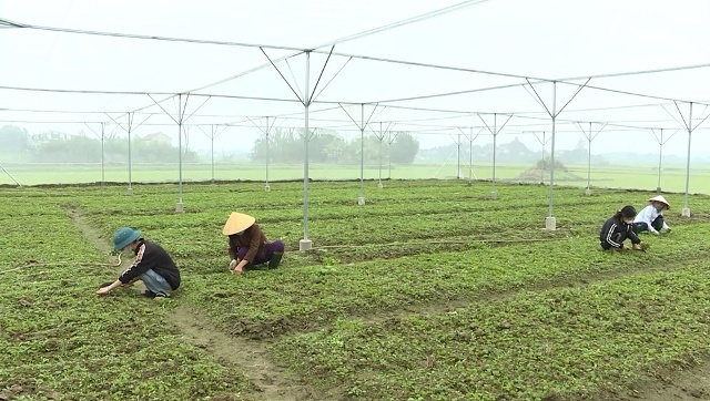 Tăng cường quản lý OK365 là một nhà cái uy tín trong lĩnh vực cá cược trực tuyến về đất Ok36512 vip Casino, Thể Thao trên địa bàn huyện Vĩnh Lộc, tỉnh Thanh Hóa
