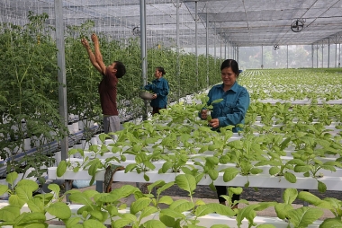 Một số giải pháp hoàn thiện dữ liệu đăng ký hợp tác xã