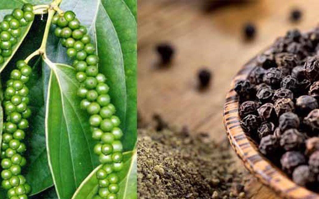 Xuất khẩu hồ tiêu của Việt Nam sang Ai Cập: Thực trạng và kiến nghị giải pháp