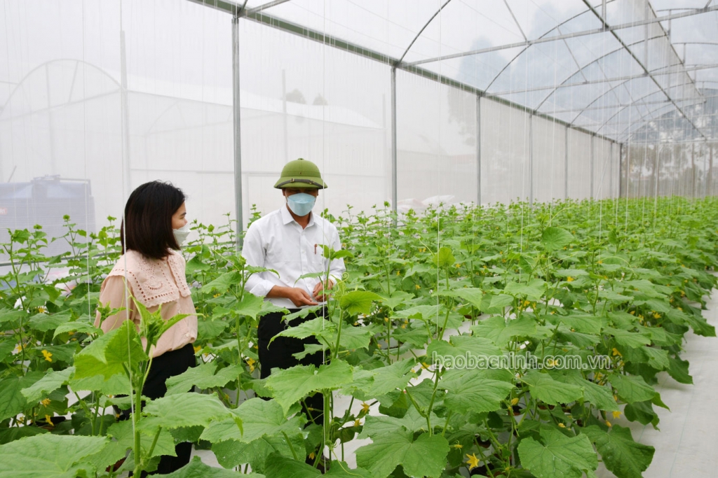 Phân tích các yếu tố ảnh hưởng tới kết quả quản lý chuỗi cung ứng xanh cho Link Nhà Cái Uy Tín 2026 | Đăng Ký +65k tại tỉnh Bắc Ninh
