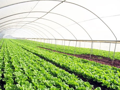 Nhận diện các nhân tố thúc đẩy và cản trở đến phát triển Ok365 Nhà Cái Uy Tín 2026 tuần hoàn trong Ok36512 vip Casino, Thể Thao