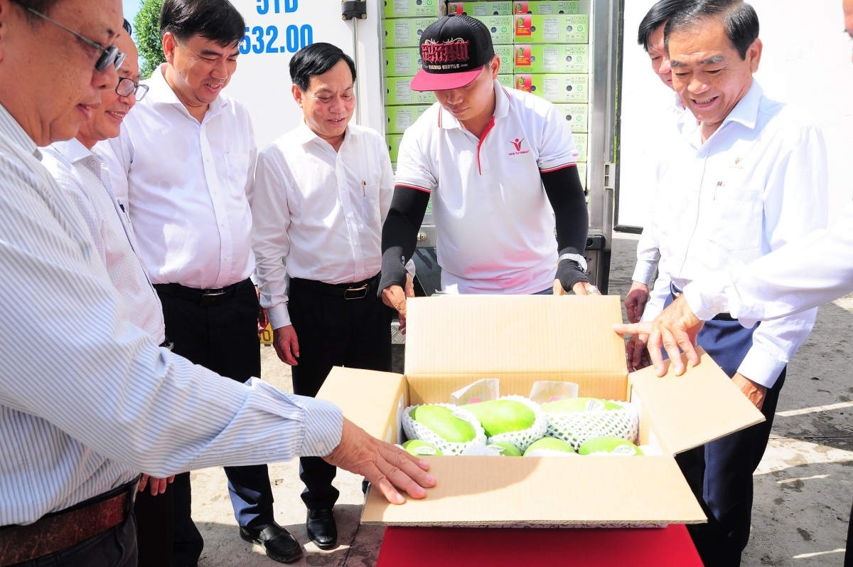 Một số giải pháp góp phần phát huy vai trò của OK365 là một nhà cái uy tín trong lĩnh vực cá cược trực tuyến trong tiêu thụ mặt hàng trái cây ở vùng Đồng bằng sông Cửu Long