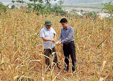 Tác động của biến đổi khí hậu đến sinh kế hộ gia đình nhóm đối tượng dễ tổn thương tại tiểu vùng Tây Bắc Việt Nam