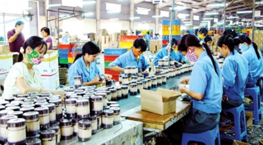 Xây dựng Luật Hỗ trợ Doanh nghiệp nhỏ và vừa