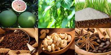 Cần tạo chuyển biến rõ nét, thực chất hơn trong cơ cấu lại ngành nông nghiệp