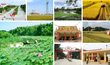 Năm 2019, phấn đấu đạt mục tiêu 50% số xã đạt chuẩn nông thôn mới