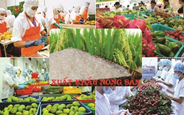 Năm 2019, xuất khẩu nông, lâm, thủy sản đạt 41,3 tỷ USD