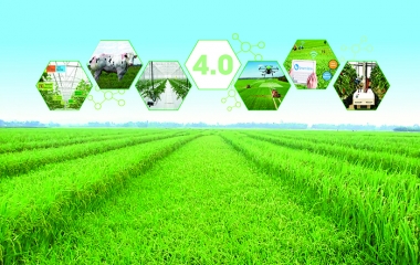 Bức tranh nông nghiệp năm 2019, định hướng phát triển 2020