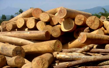 Tái cấu trúc sản xuất các ngành xuất khẩu để hưởng lợi từ TPP