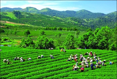 Đánh giá 5 năm thực hiện tăng trưởng xanh ở Việt Nam