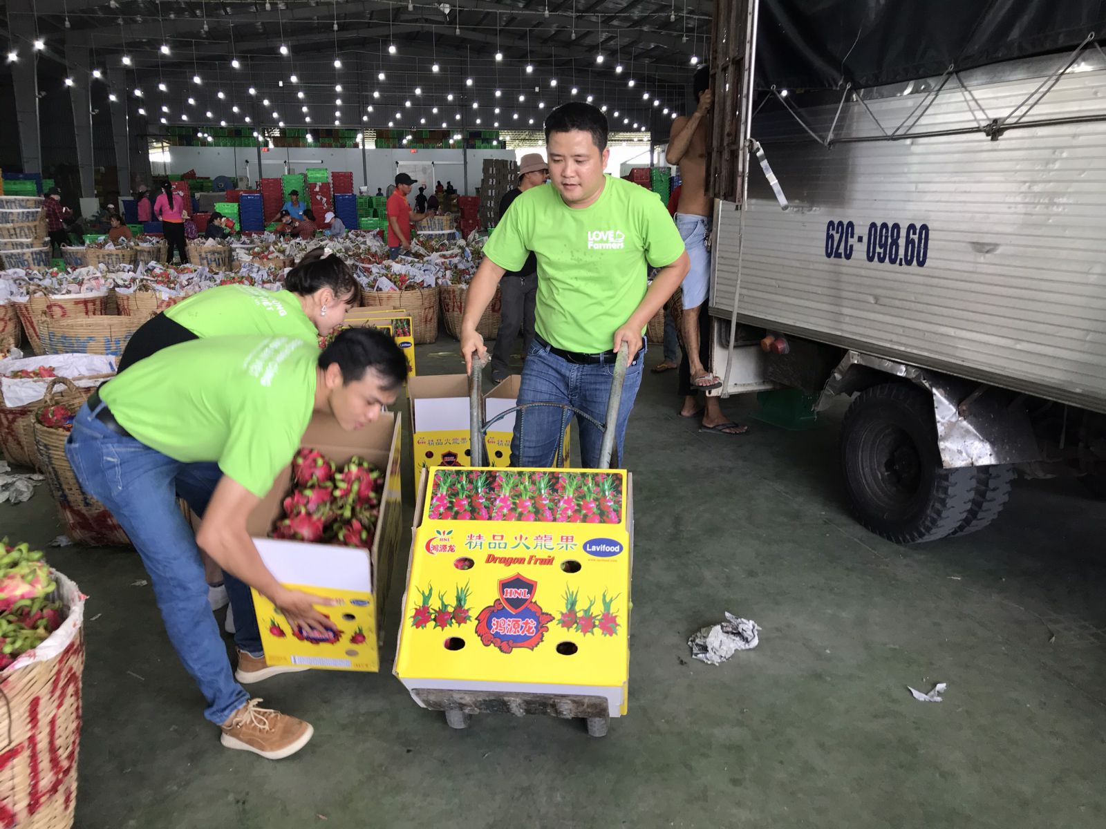 Qũy Ok365.com Tải xuống phiên bản mới nhất Xanh hỗ trợ thu mua thanh long cho người n&ocirc;ng d&acirc;n