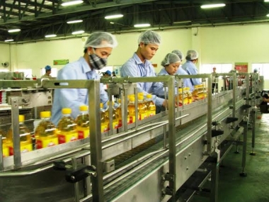 Quý I/2016, DN thành lập mới  giảm 10% về số DN, nhưng tăng 3% về vốn