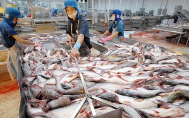 VASEP: Nhiều bất cập trong việc xác định trị giá hải quan